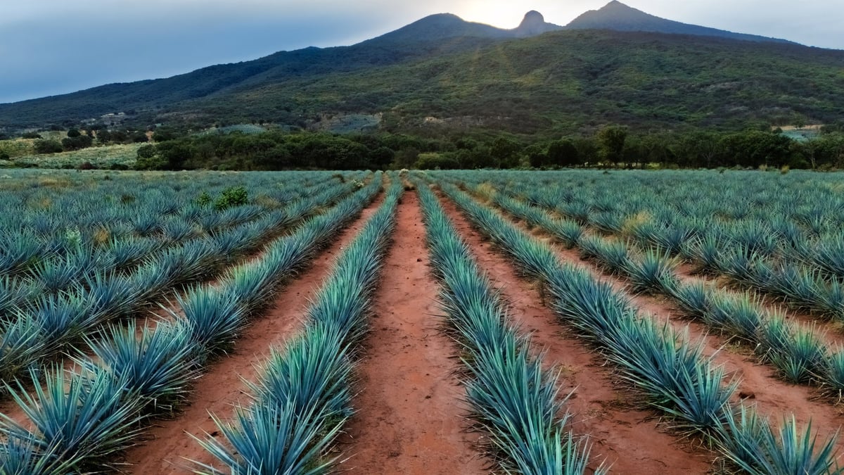 Tequila Jalisco - Destino Turístico